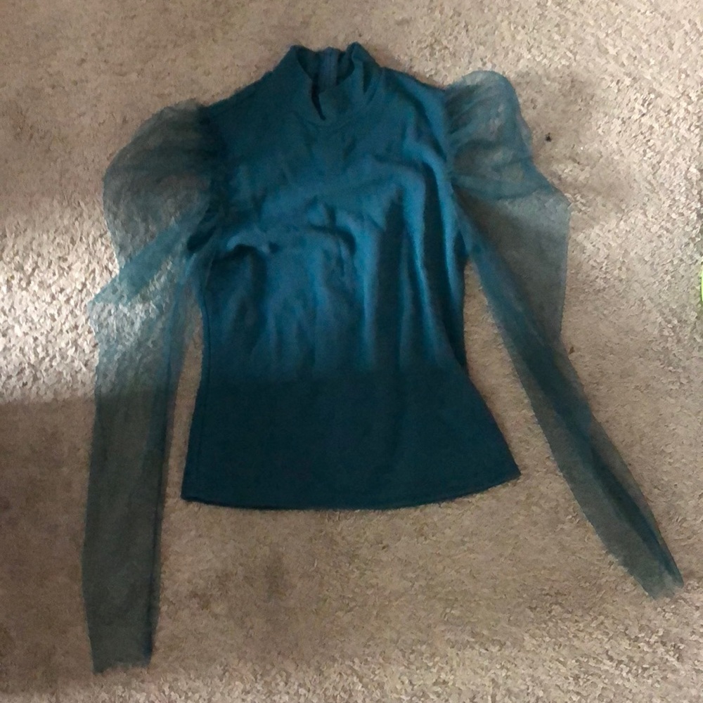 Turtle neck sheer long sleeve